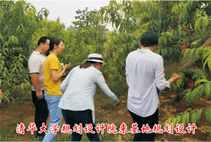 清华大学规划设计院