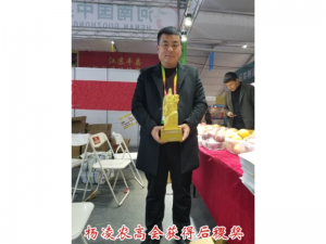 杨凌农高会获得后稷奖